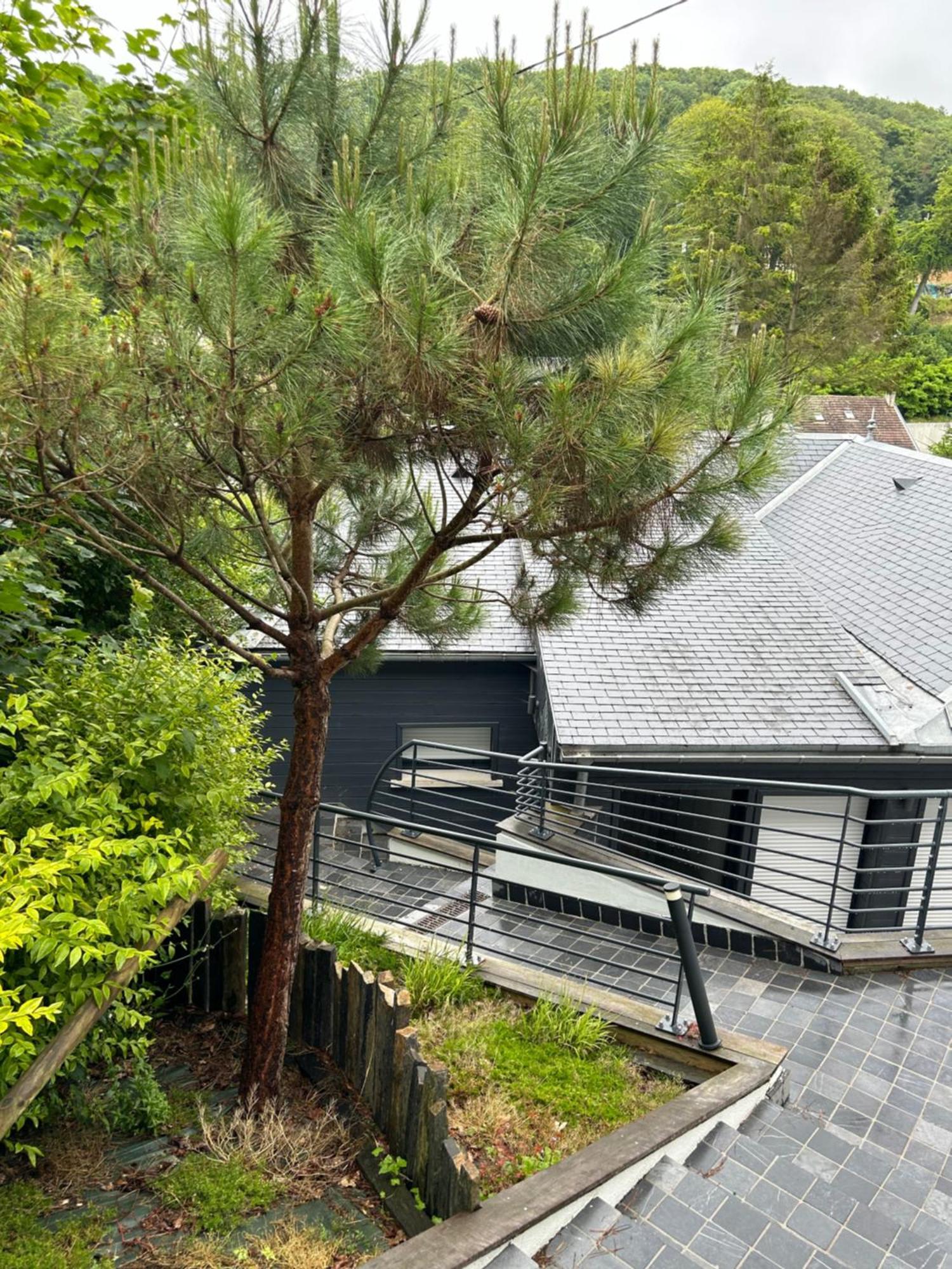 Villa Des Chardons Yport Eksteriør bilde